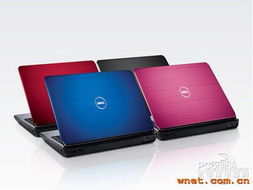 东莞市横沥精诚电脑网络工程公司 打造高效可靠的计算机网络工程解决方案