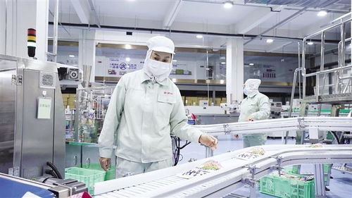 兰州牛大超级工厂 | 俯瞰未来之面 这座计算机网络引领的智能生产链长啥样？